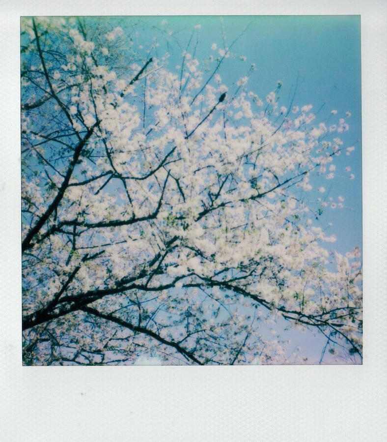 Untitled Untitled